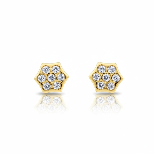 [P6011] PENDIENTES ORO 18KL CIRCONITAS