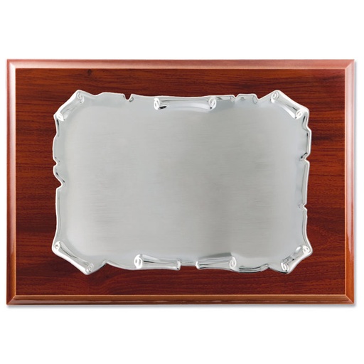 PLACA HOMENAJE METAL PLATEADO - 26X21CM 19X13CM** AGOTADA TEMPORALMENTE**