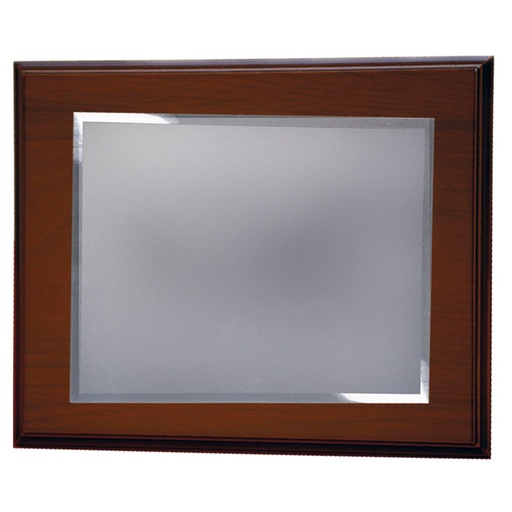 PLACA HOMENAJE ALUMINIO 26X21CM - 18X13CM